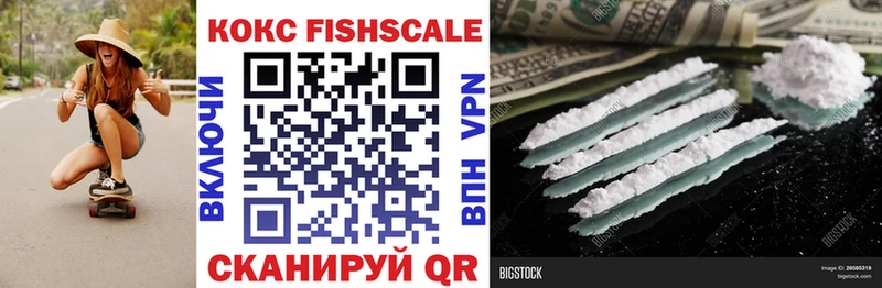 как найти закладки  Екатеринбург  Cocaine Fish Scale 