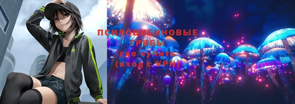 jwh Горняк