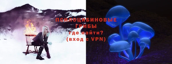 ECSTASY Вяземский