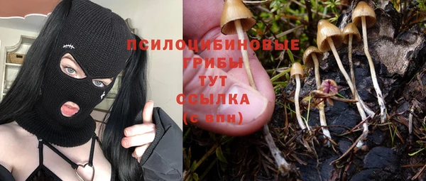 дживик Горно-Алтайск