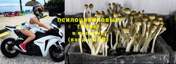 дживик Горно-Алтайск